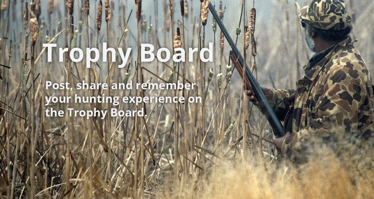 Post to the Trophy Board