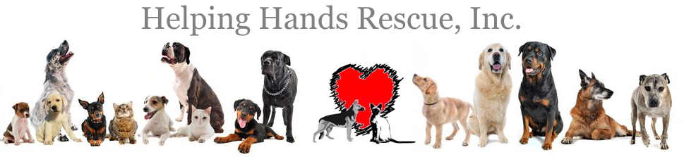 helping_hands_rescue_logo2