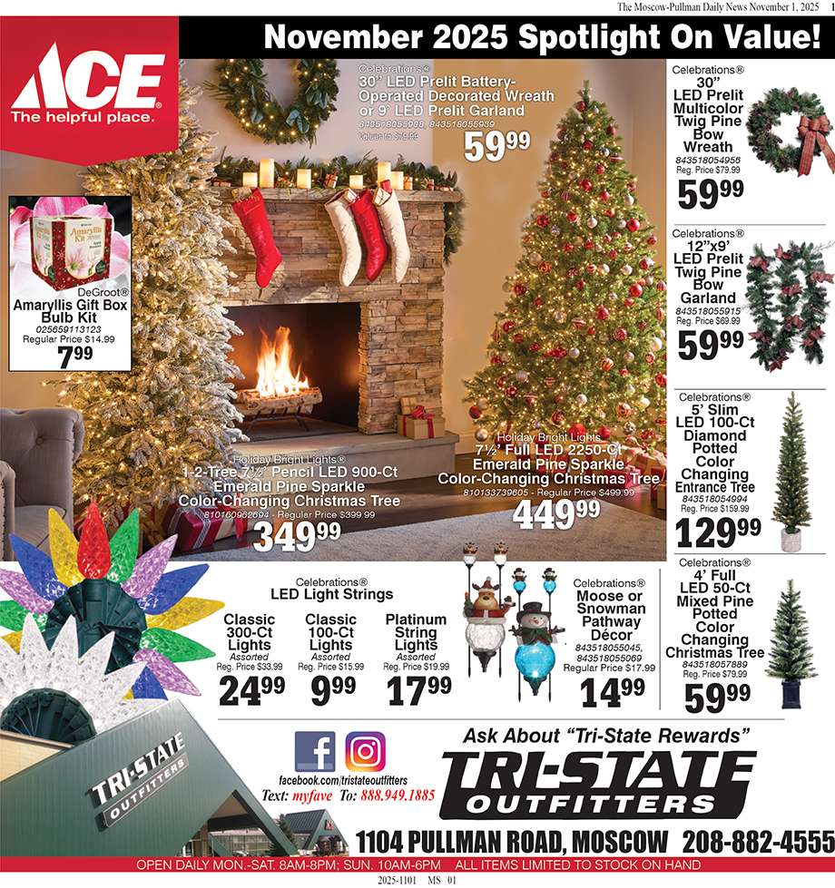 Moscow – ACE November 2025 Spotlight On Value