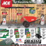 Moscow – ACE March 2026 Spotlight On Value Newsprint Advertisement