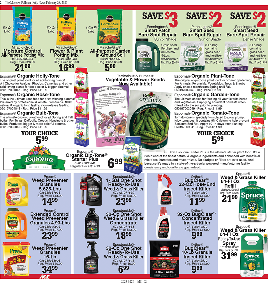 Moscow – ACE March 2026 Spotlight On Value